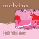 Melvins Foaming lyrics 