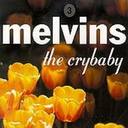Melvins Ramblin Man lyrics 